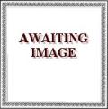 Blind Blake, the essential <b> DOUBLE CD </b>