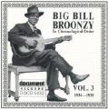 Big Bill Broonzy Vol 3 1934 - 1935