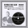 Bumble Bee Slim Vol 1 1931 - 1934