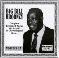 Big Bill Broonzy Vol 12 1945 - 1947