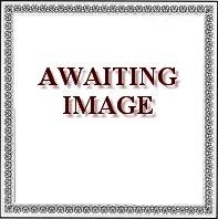 Blind Blake, the essential <b> DOUBLE CD </b>