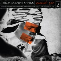 The Mississippi Sheiks Vol. 2
